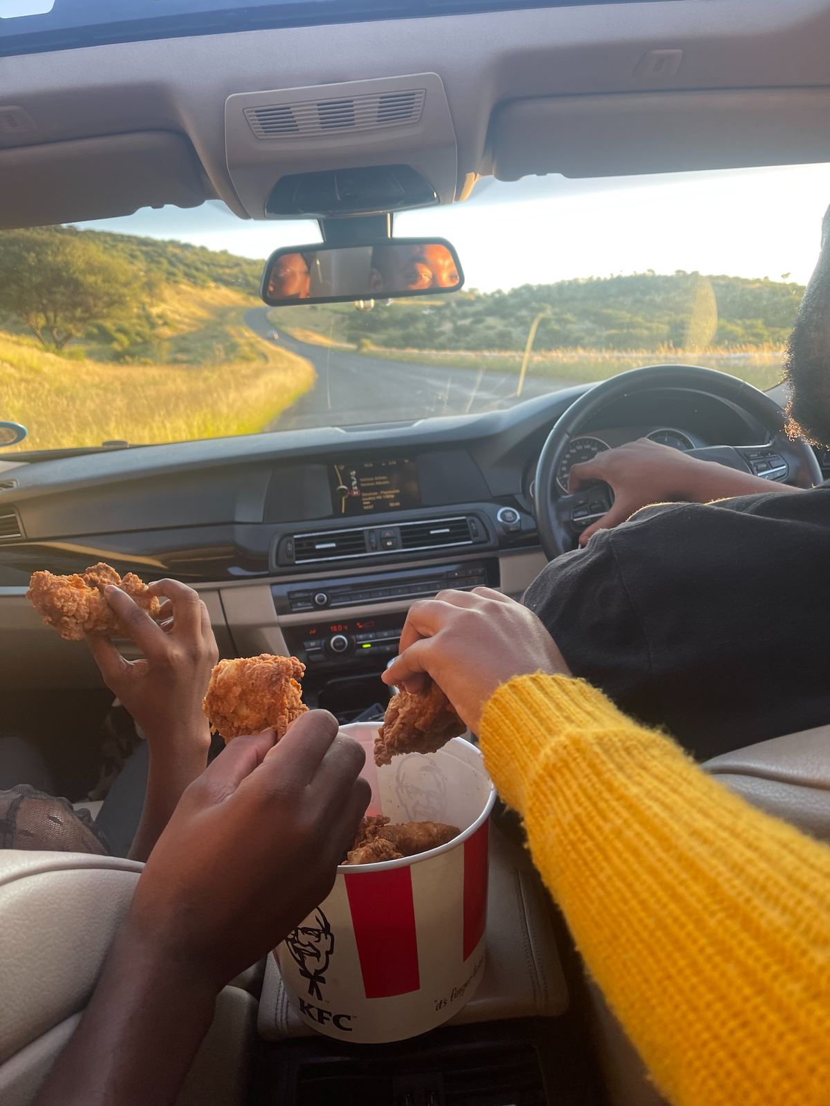 Sharing the trip on an open Namibian road